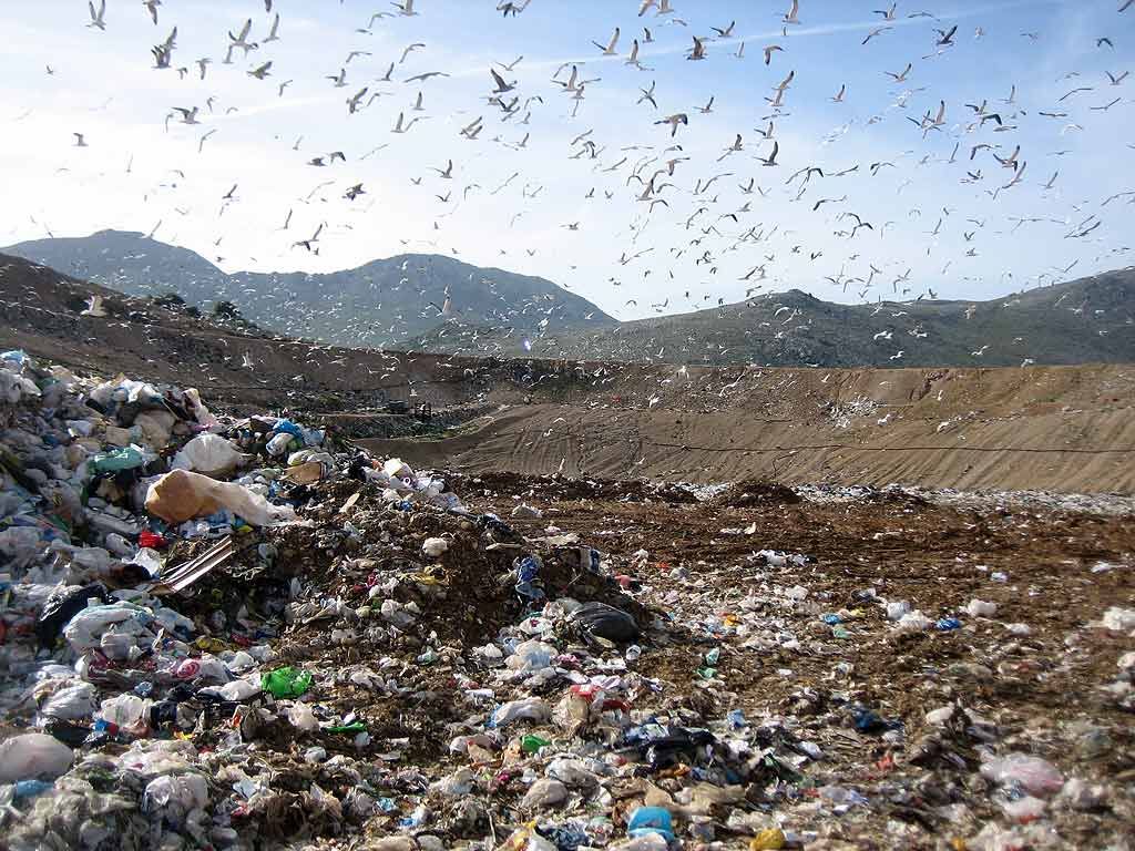 Gesenu e Tsa, indagine procura di Perugia: “Fare chiarezza e affrontare la questione rifiuti”